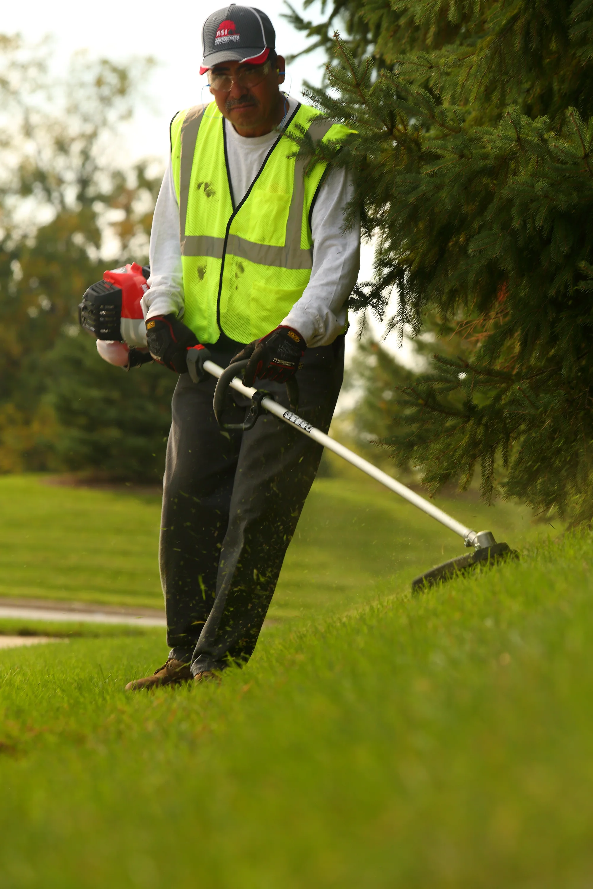 Shindaiwa Trimmer T262 Shindaiwa T Series Trimmer T262 Lifestyle Wide Shot Right View Man Trimming Grass Pine Tree product image