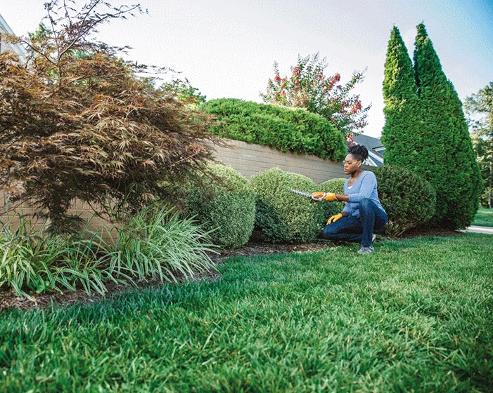 Stihl Garden Shears Hsa 26 Trimming Bushes product image