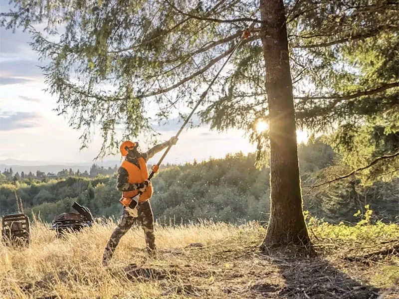 STIHL Ht Series Pole Pruners Professional Telescoping Pole feature image