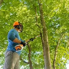 STIHL Hta Series Pole Pruners Brushless Motor Technology feature image
