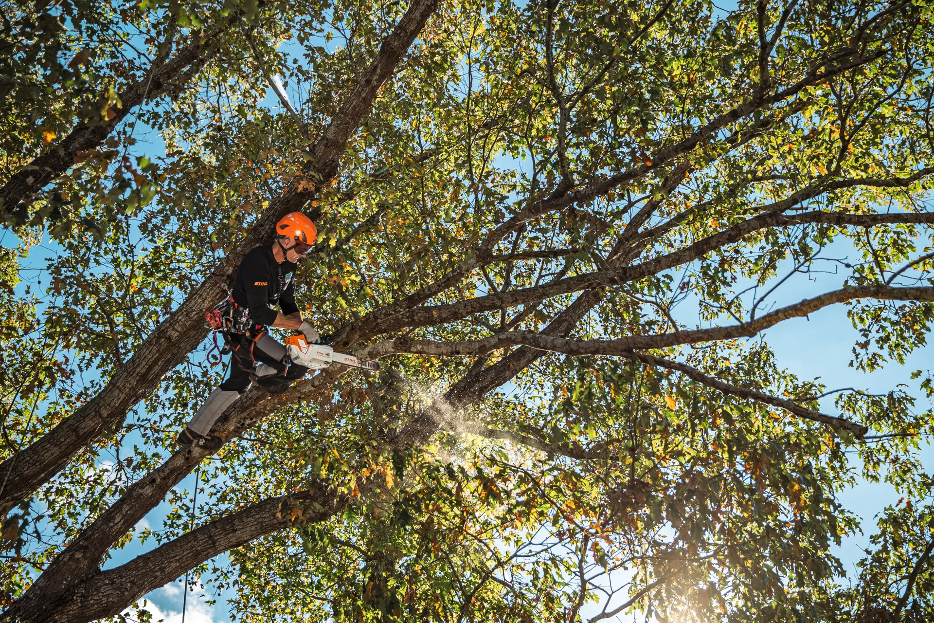 STIHL Msa Series Lightweight And Balanced feature image
