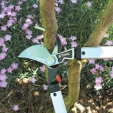 STIHL Pl Series Pole Pruners High Quality Steel Blades feature image