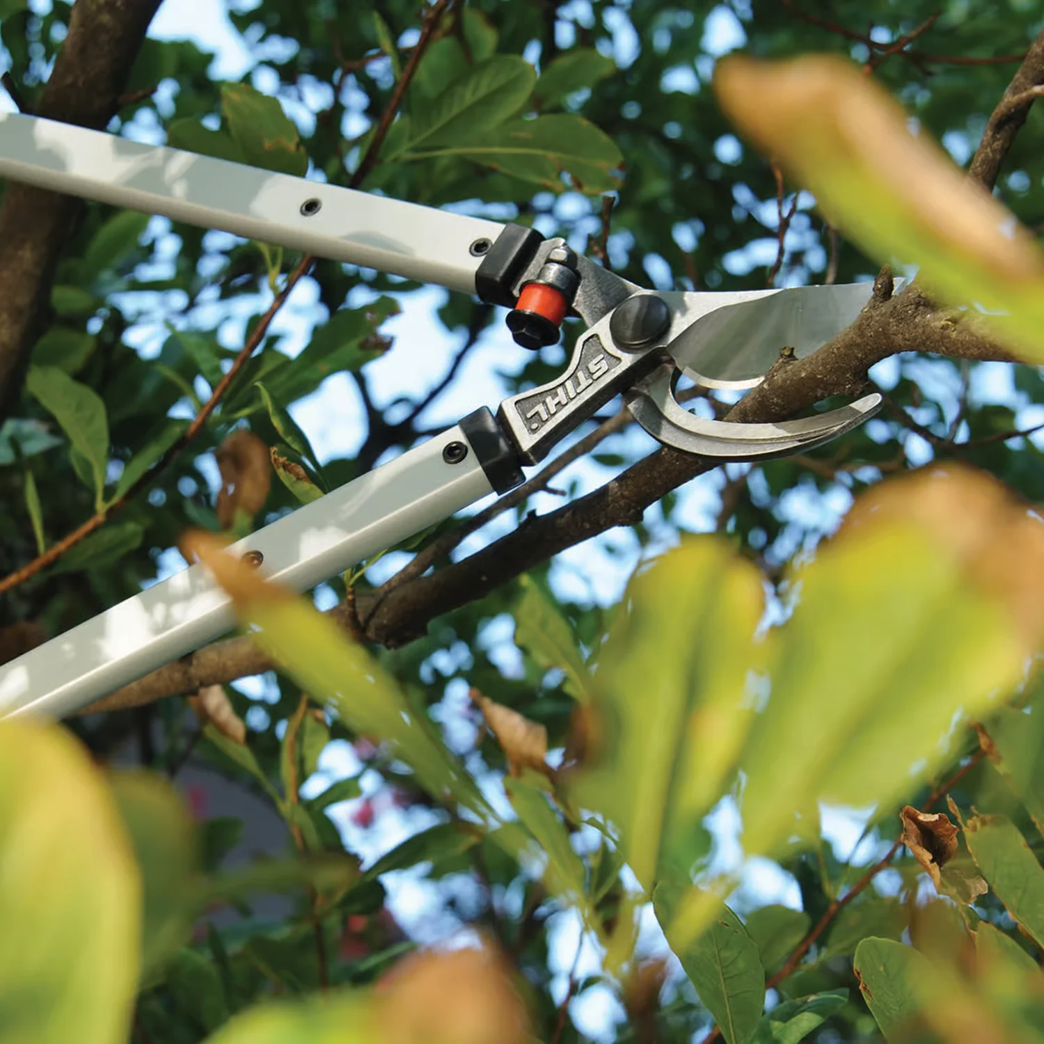 STIHL Pl Series Pole Pruners Manual Pruning Tools feature image