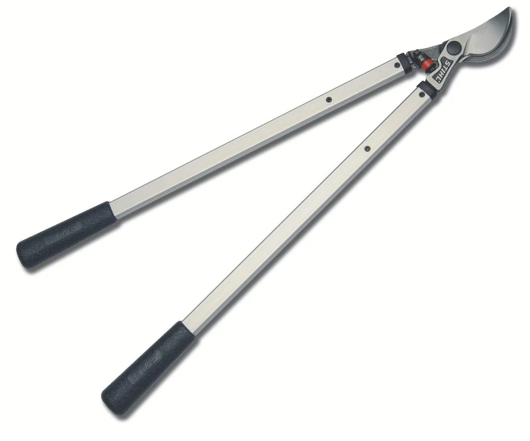 STIHL Pl Series Pole Pruners Various Length Options feature image