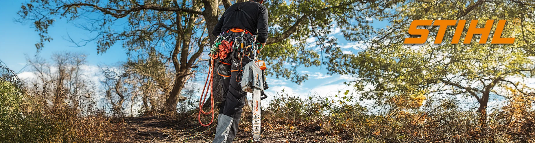 STIHL Product Chainsaw 2