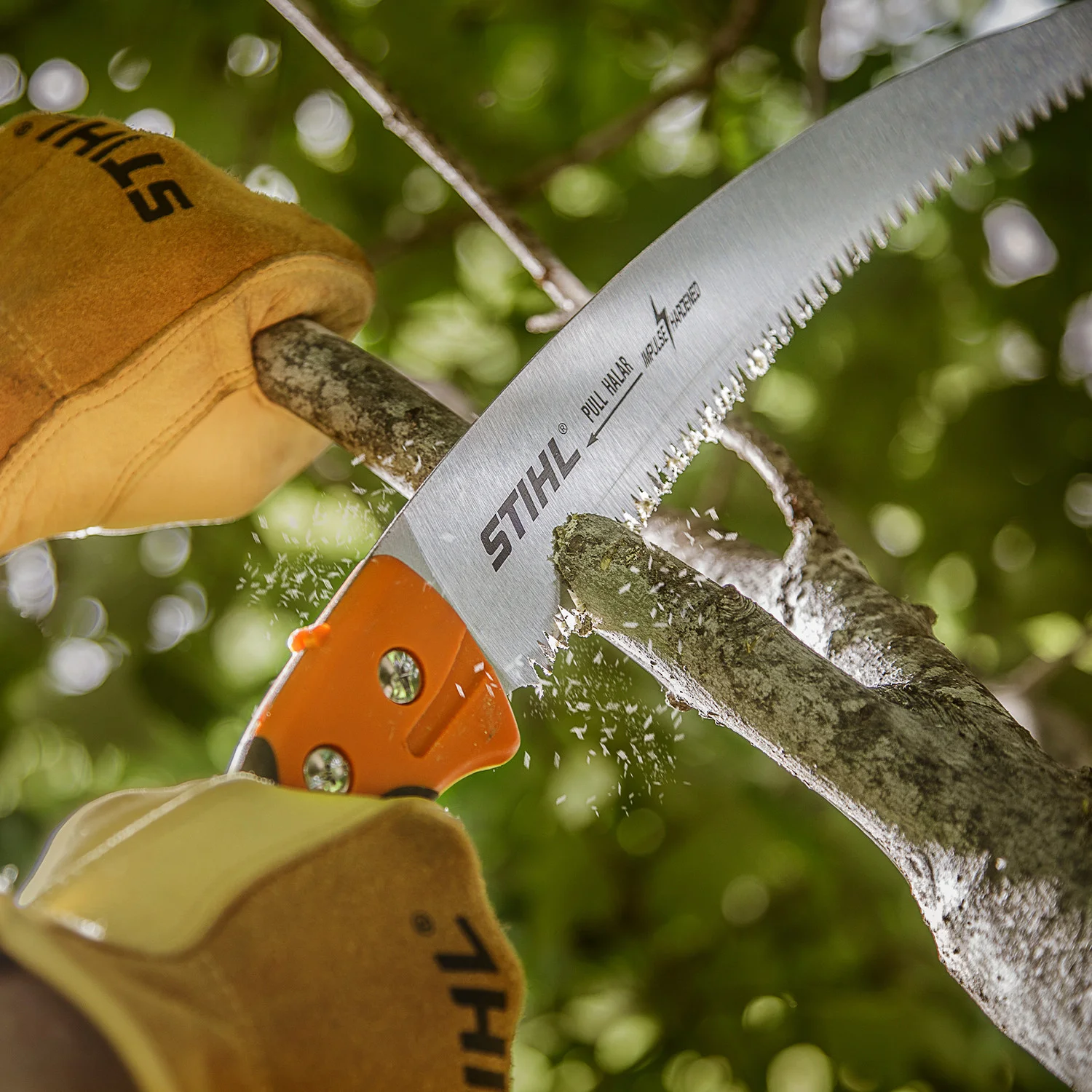STIHL Ps Series Pole Pruners Impulse Hardened Teeth For Long Lasting Sharpness feature image