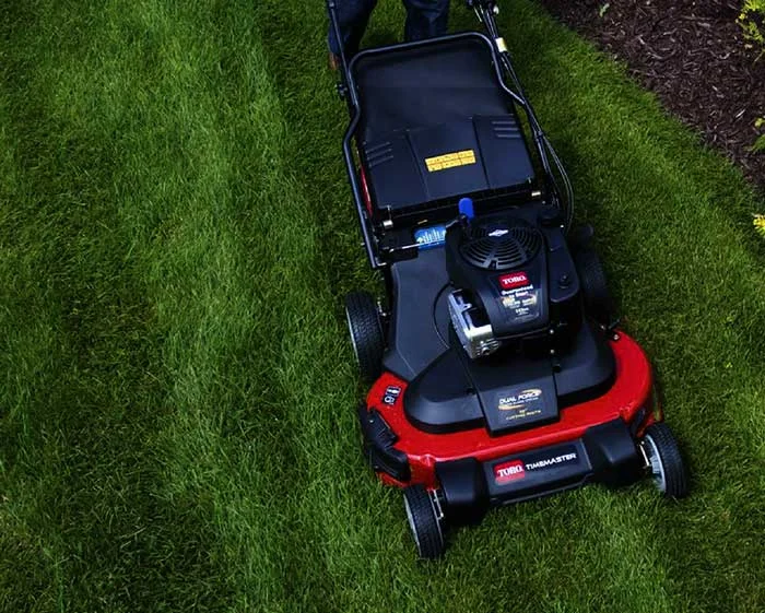 Toro Timemaster Series Walk Behind Lawn Mower 21219 Top View Cutting Grass product image