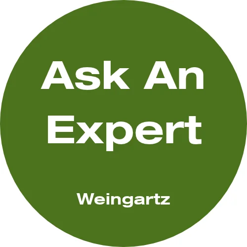 Expert