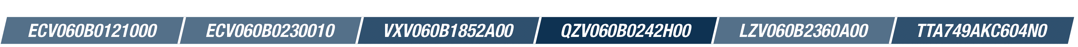 ECV060B0121000,ECV060B0230010,VXV060B1852A00,QZV060B0242H00,LZV060B2360A00,TTA749AKC604N0