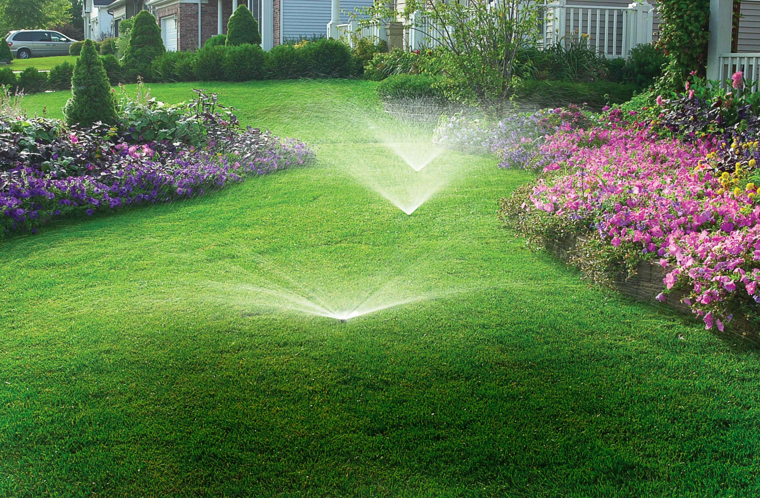 The Right Amount of Water For Your Lawn