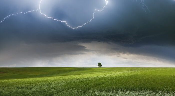 Lightning and Green Grass