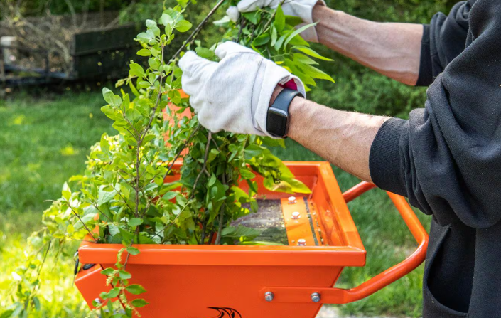 Buyer’s Guide to Chippers, Shredders, and Vacs
