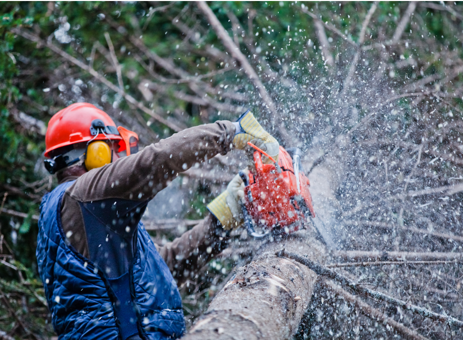 WINTER CHAINSAW SAFETY