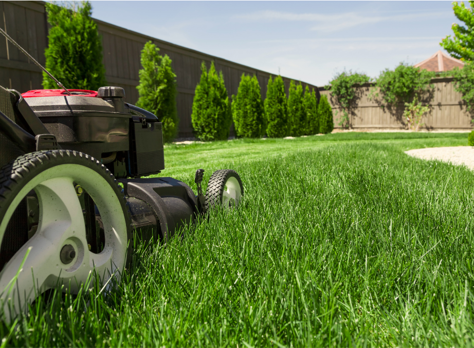 3 SIGNS YOU NEED TO SHARPEN OR REPLACE YOUR MOWER BLADE