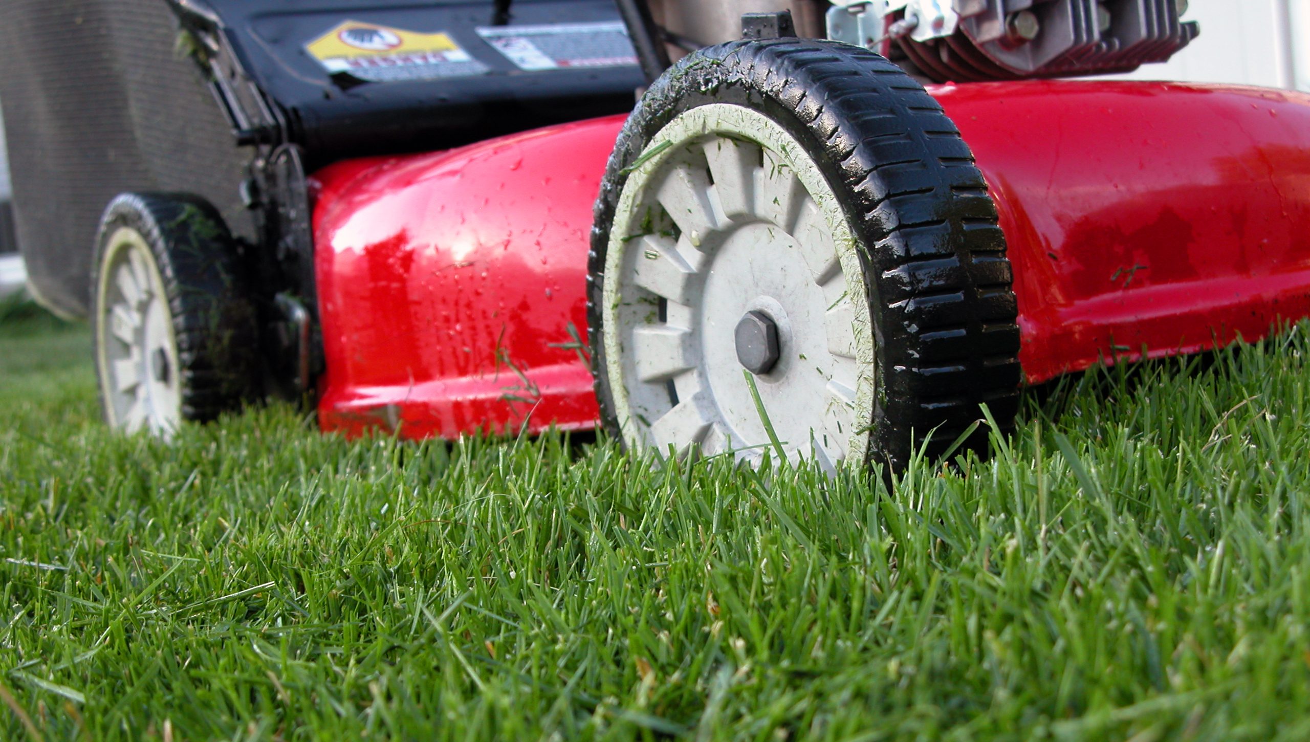 6 Snow Blower Maintenance Tips