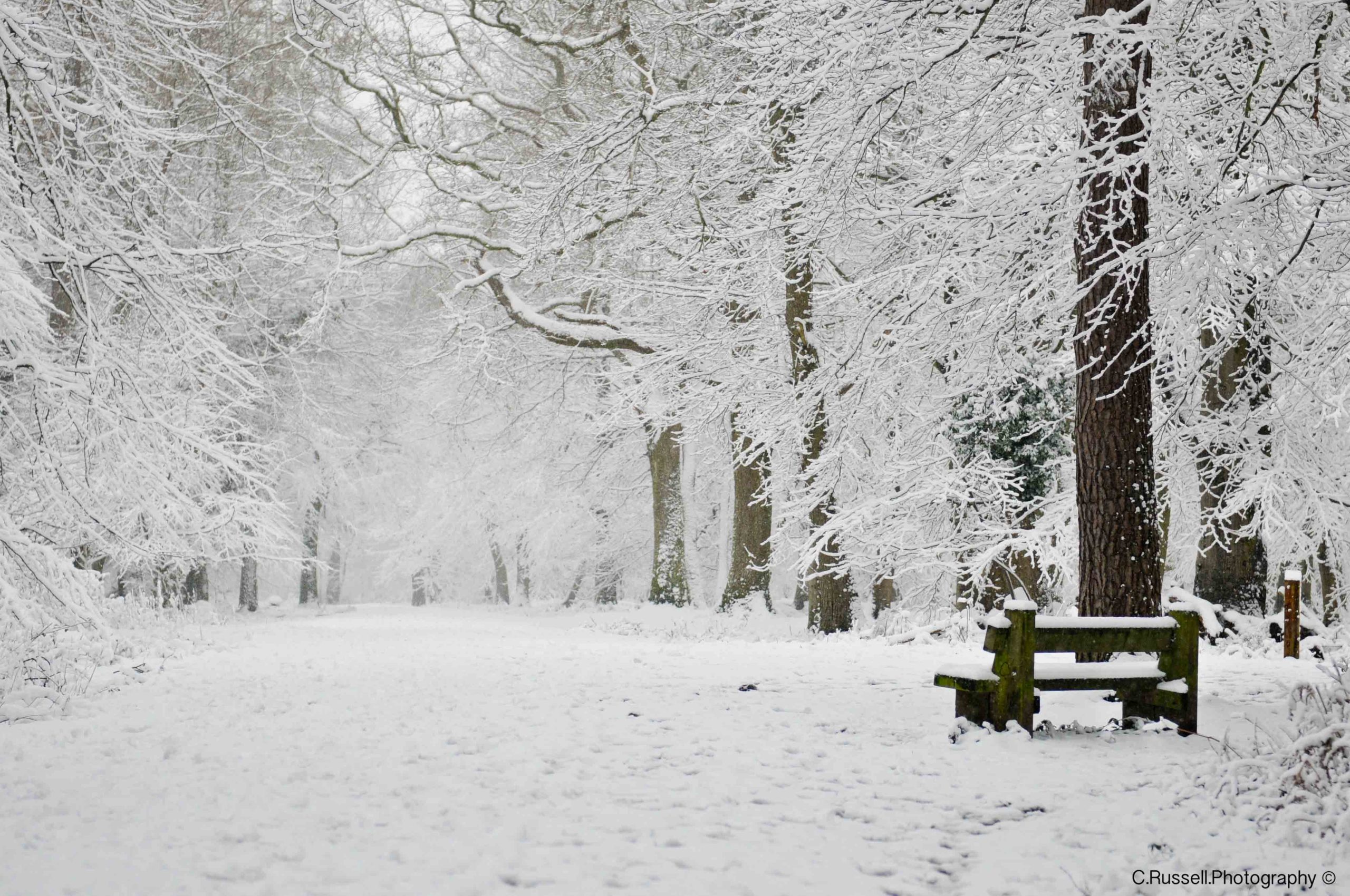Michigan Winter Weather – Everyone Needs a Snow Blower: 8 Tips For Michiganders