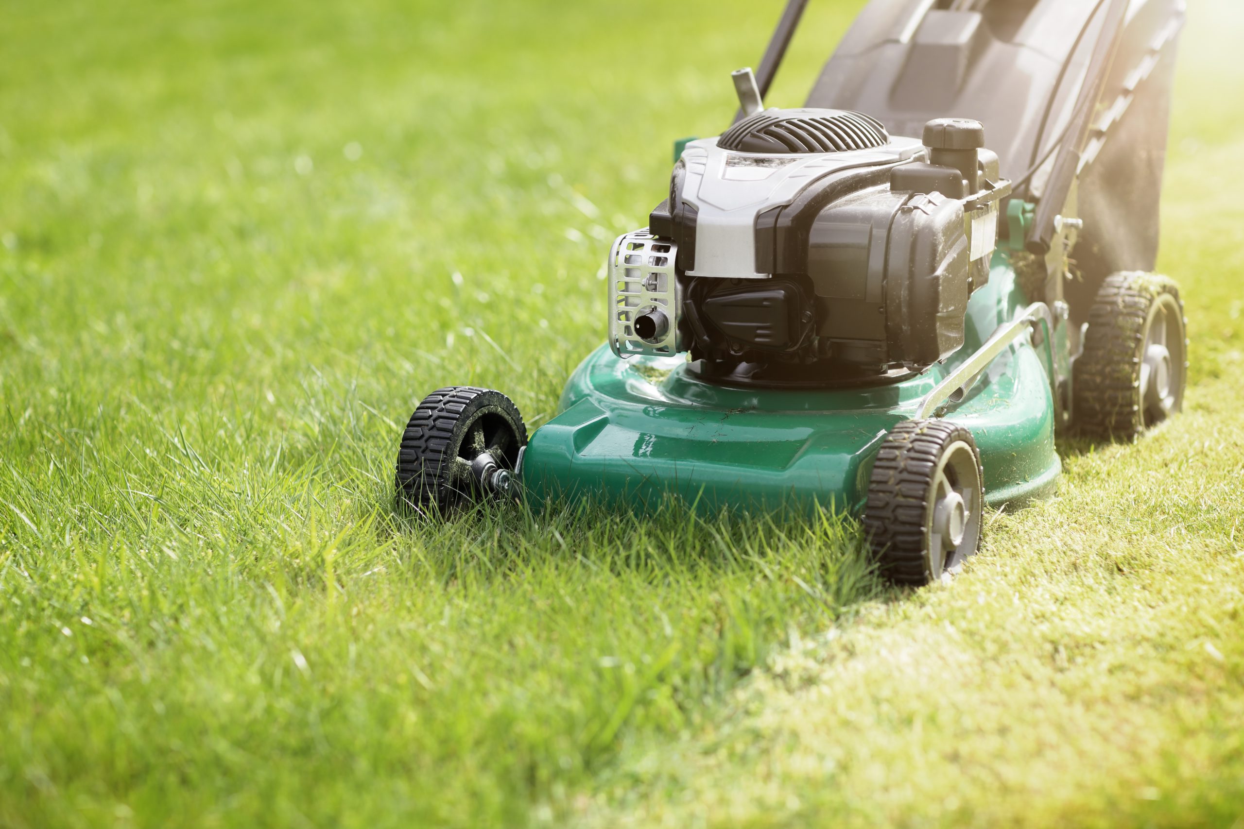 Briggs & Stratton Tune-Up Kit