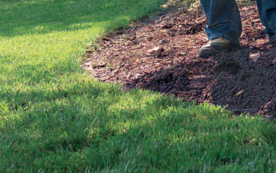 Mulching-Tips-For-May - Featured Image