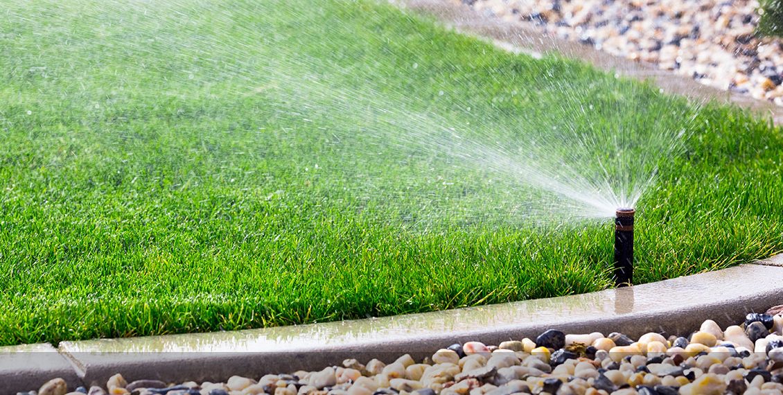 Watering-the-Lawn - Featured Image