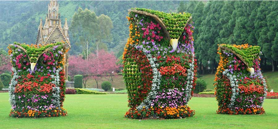 The-Art-of-Topiary - Featured Image