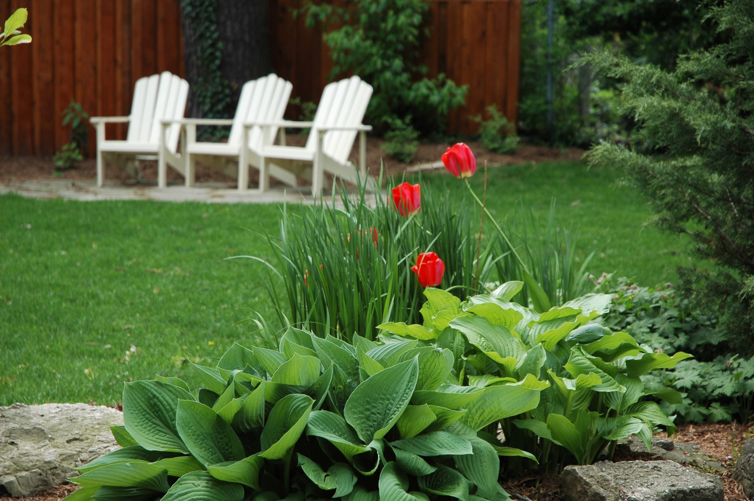 Going Green – Green Grass Not Only Looks Good But Helps the Environment