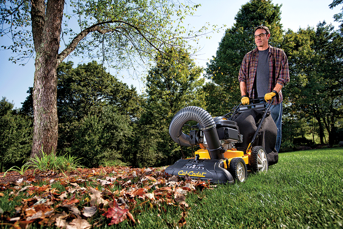 Buyer's Guide to Chipper Shredder Vacs