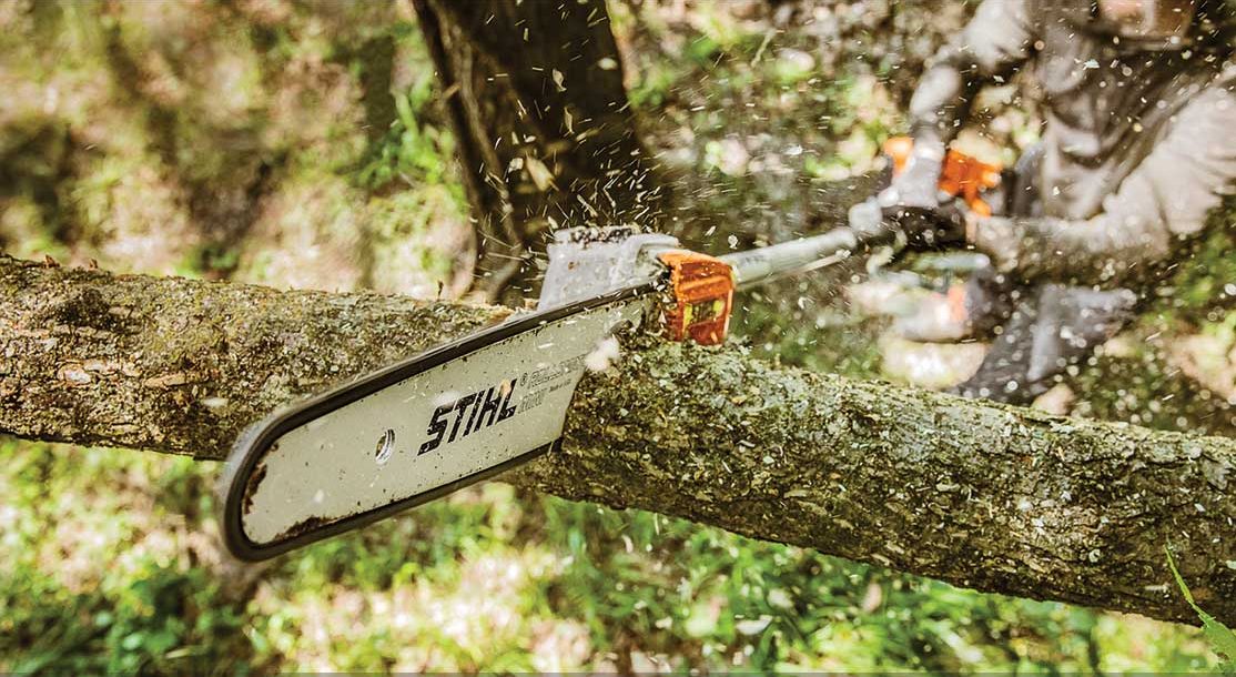 How-to-Prune-and-Care-for-Trees