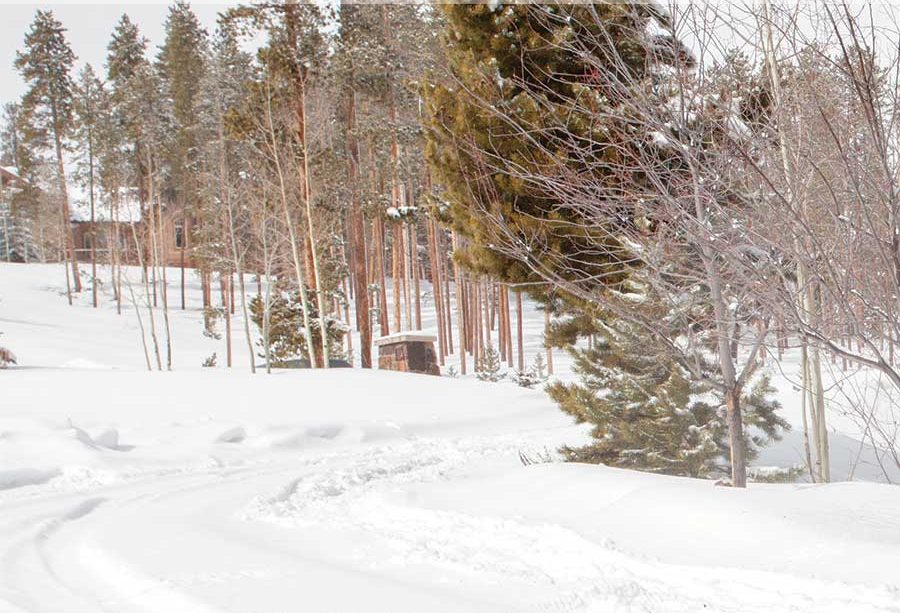 Snow Mold and Frozen Lawn Damage