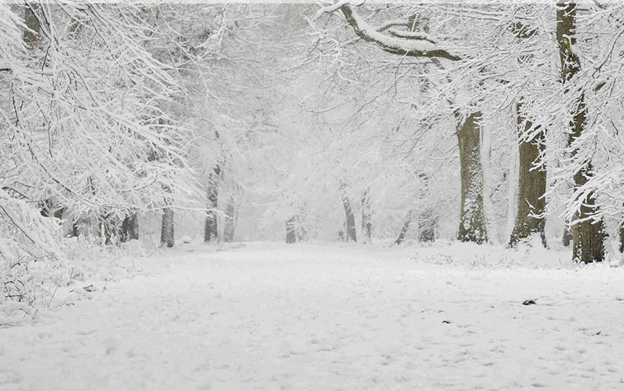 Winter Weather
