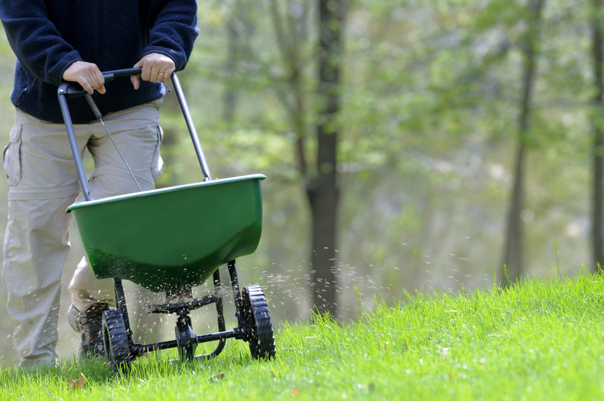 Late Summer and Fall Fertilizing