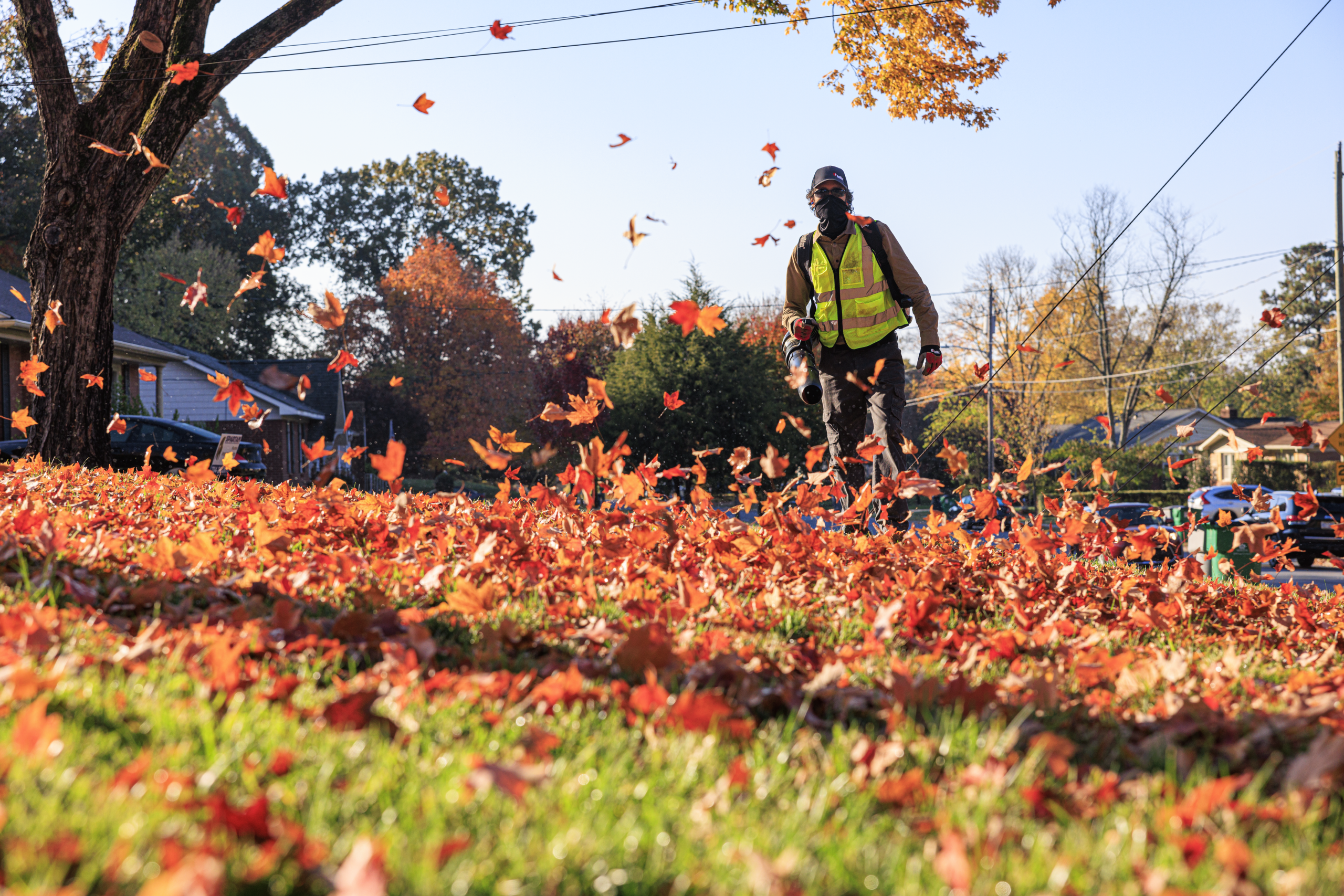 Should You Mulch or Bag Leaves