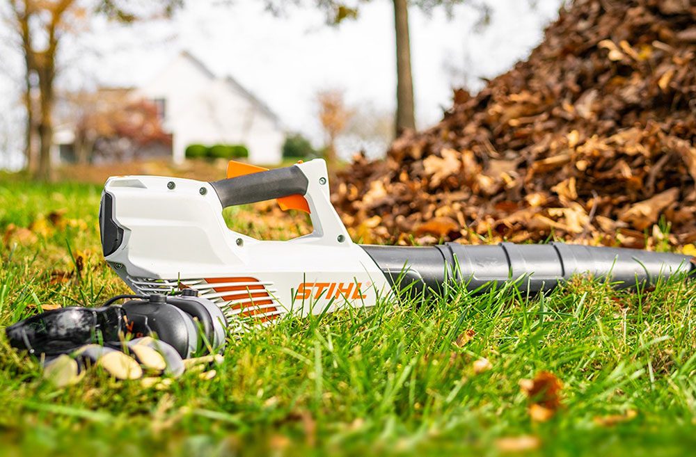 Thinking About a New Leaf Blower