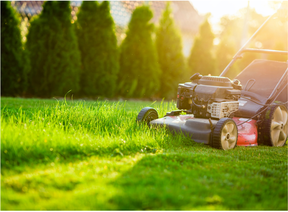 6 WAYS TO PREPARE YOUR LAWN FOR SPRING