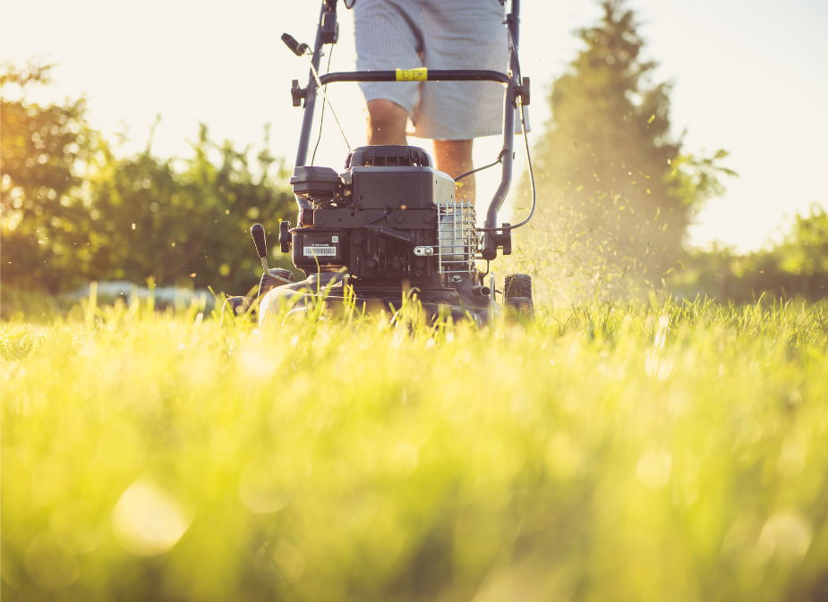 LAWN MOWER BLADES AND SEASONALITY