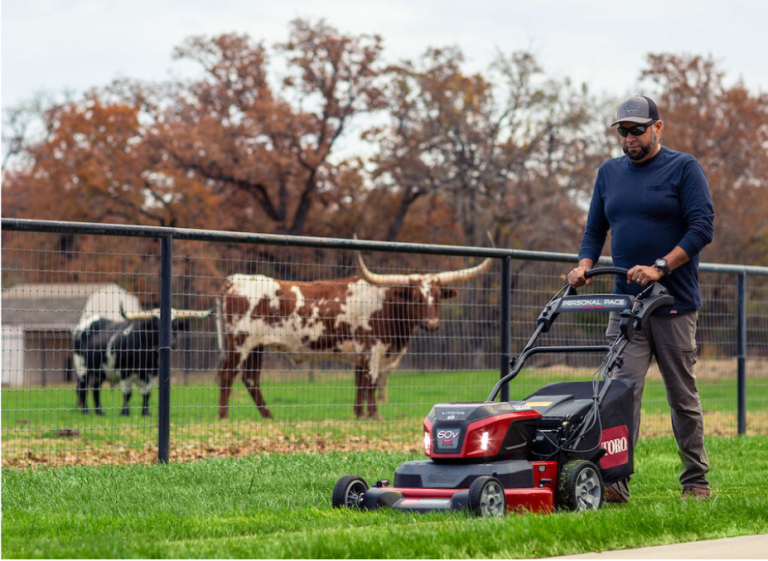 HOW TO ACHIEVE A PROFESSIONAL LOOKING LAWN