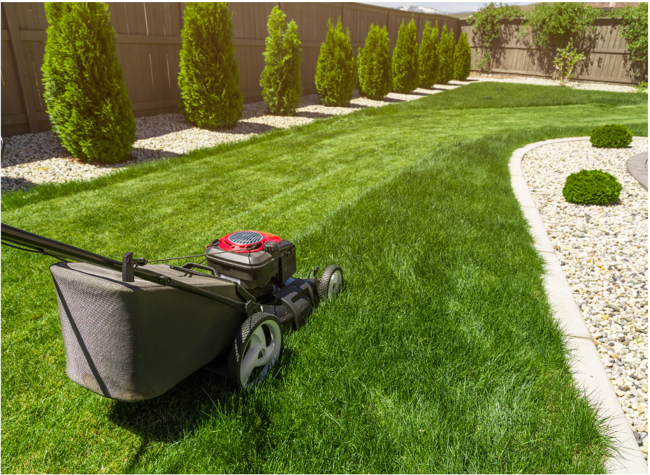 HOW TO CHANGE THE OIL IN A LAWN MOWER