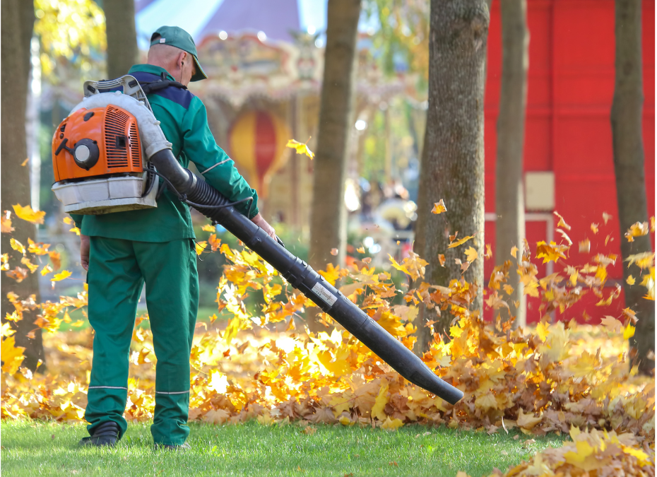 FALL CLEANUP TIPS