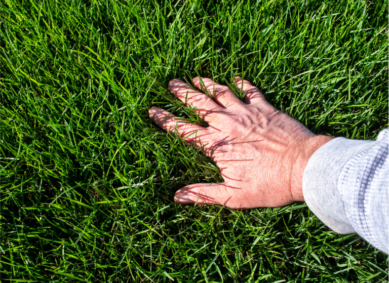 BENEFITS OF MULCHING VS. BAGGING LAWN CLIPPINGS