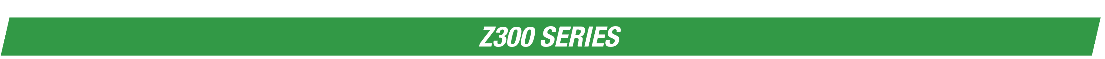 Z300 SERIES