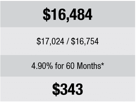 UPDATE PRICING HERE