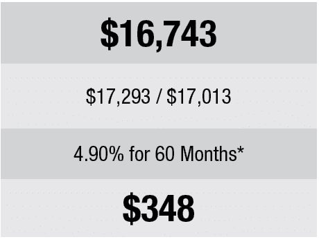 UPDATE PRICING HERE