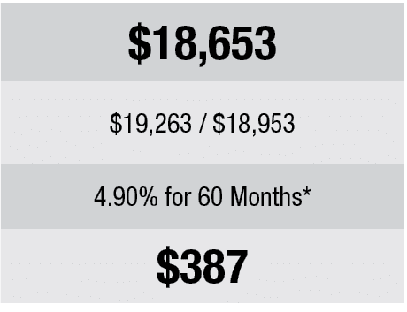 UPDATE PRICING HERE